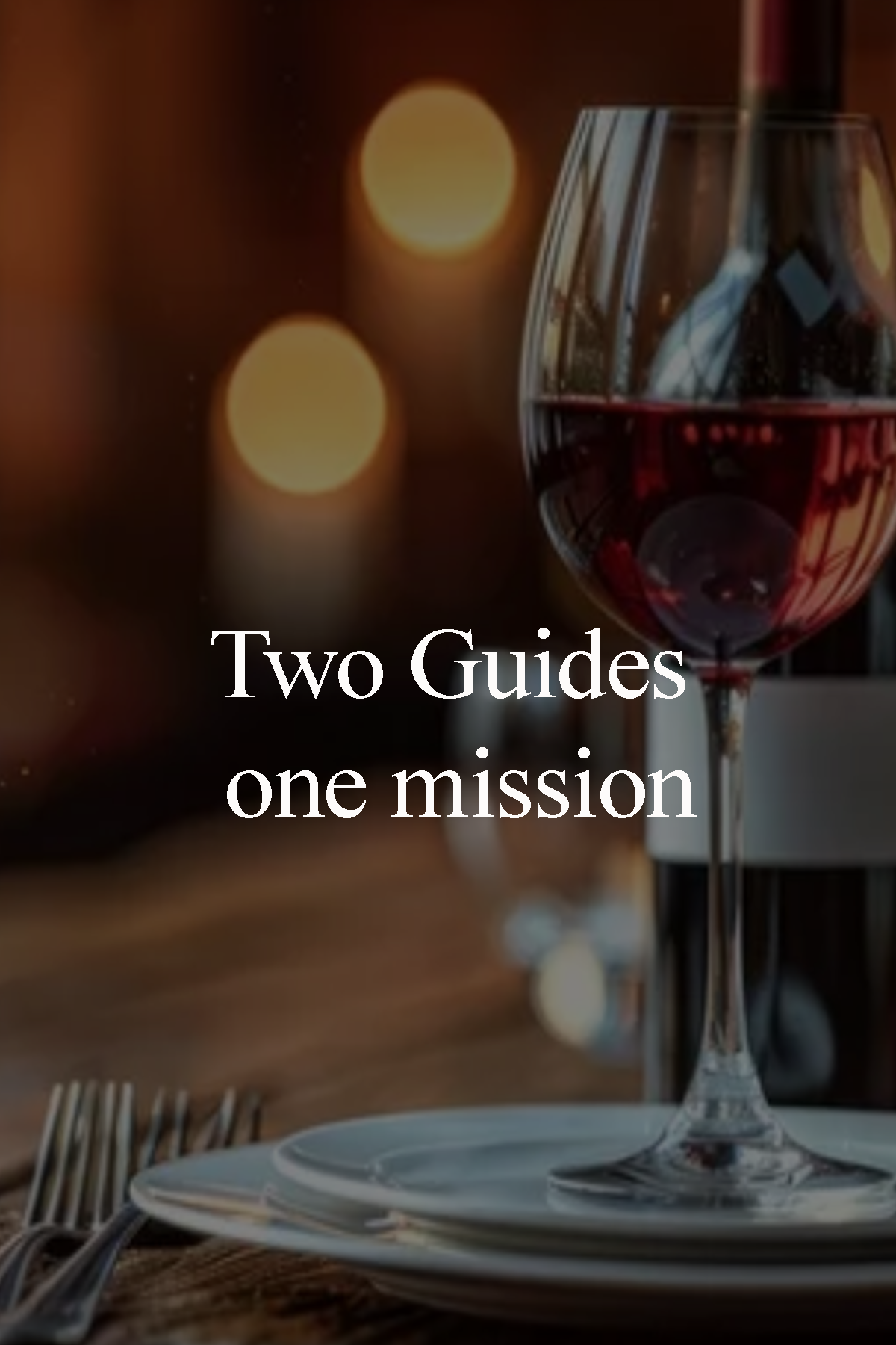 WINE IS FOOD excellence is richer than luxury FEEL GOOD DINING GUIDES COVER copy 2